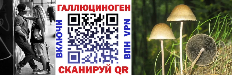 продажа наркотиков Чаплыгин Галлюциногенные грибы ЛСД